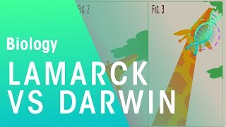 Theories of evolution Lamarck vs Darwin  Evolution  Biology  FuseSchool [upl. by Akkeber]