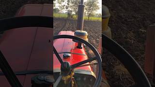 🌾Masur ki buai 🤗shortvlog dailyvlog minivlog farming [upl. by Greenman917]