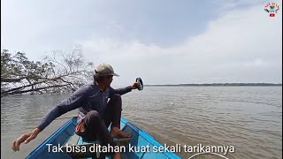 Detikdetik ikan besar menyambar umpan didepan perahuMancing joran bambu [upl. by Araccat]