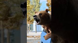 Bear Inside Car in Los Angeles [upl. by Bhayani514]