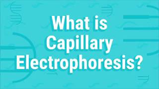 What Is Capillary Electrophoresis [upl. by Flagler]