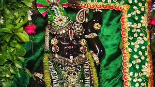 श्रीनाथजी बहुत जोरदार भजन । shreenathji WhatsApp status shreenathji temple Nathdwara video Status [upl. by Erena]