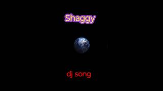 Shaggy DJ song copyright free video shaggy songs life is one big party djremix party shaggy dj [upl. by Ranee]