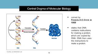 Introduction to Molecular Biology [upl. by Asilaj]