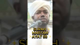 Noreen Muhammad Siddiq BEAUTIFUL Recitation Of Surah Maryam Noreenmuhammadsiddique suramaryam [upl. by Netsreik]