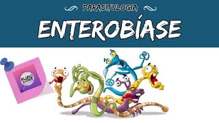 ENTEROBÍASE OXIURÍASE  PARASITOLOGIA 8 [upl. by Ikcim296]