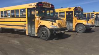 School Buses In Thornhill Ontario [upl. by Mara493]