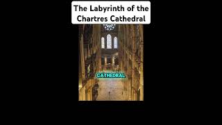 The Labyrinth of the Chartres Cathedral interesting history art learning fyp capcut [upl. by Nortad]