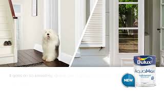 Introducing New Dulux AquaMax [upl. by Anawik]