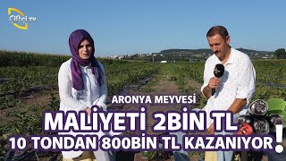 Süper Meyve Aronya 10 Tondan 800 bin kazanıyor  Toprak Bacı [upl. by Yamauchi]