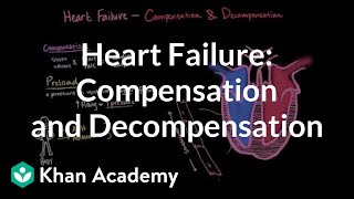 Compensation and decompensation in heart failure  NCLEXRN  Khan Academy [upl. by Athiste]