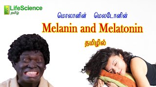 Melanin and Melatonin in Tamil  LIFESCIENCE TAMIL  TRB ZOOLOGY  TNSET  TNPSC  NEET [upl. by Anayeek]