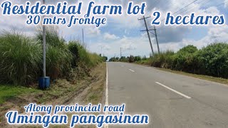 lot405 Residential farmlot pwede magbusiness 2has along provincial road 200 sqm 30mtrs frontage [upl. by Olenta]