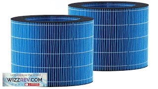 Evaporative Humidifier Replacement Filter 2Pack for Our 5L132G Model Review [upl. by Ellerehc]