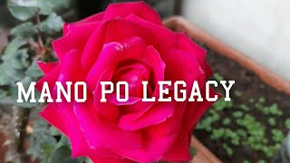 Mano Po Legacy January 6 2022 Full Episode 3 [upl. by Tamaru431]