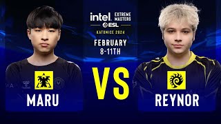 Maru vs Reynor  IEM SC2 Katowice 2024  Group Stage [upl. by Hesta]