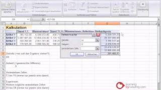 Excel Tutorial Zielwertsuche [upl. by Yerffej]