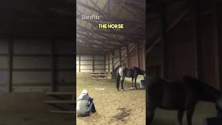 Horse Comforts Crying Woman [upl. by Seana]