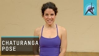 Modified Chaturanga Transition Yoga with Adela Serrano [upl. by Ibrab]