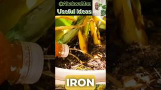 Simple Garden and conservation ideas shorts plants garden orto gardeningtips vegetables green [upl. by Karalynn]