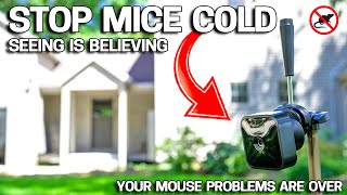 EASY WAY to Get Rid of Mice in Your House FOREVER  No More Mousetraps [upl. by Beaudoin]