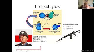 hbio15f T cells and cellmediated specific immunity 17 min [upl. by Natalya159]