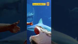 Shark से बचने की Trick 💀 [upl. by Rodavlas301]