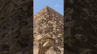 Stray dog spotted climbing down Great Pyramid in Egypt [upl. by Ahsilad]