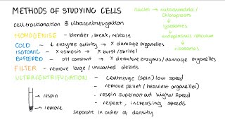 Cell Structure A Level Biology  eukaryoticprokaryotic cells microscopes and cell fractionation [upl. by Norene315]