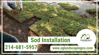 Sod installation  Garland Tx  New Grass  Rowlett Tx  St augustine  Bermuda grass [upl. by Zelde318]