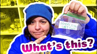 LOTS OF CRAFT KITS Unboxing your mail [upl. by Darraj843]