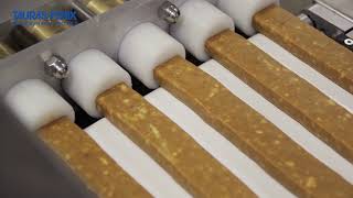 Protein and chocolate bars extruding line [upl. by Nileve]