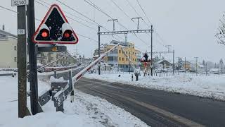 Bahnübergang Samstagern CH  Swiss Railroad Crossing [upl. by Atteiram405]