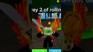 Day 2 of rolling bloxfruts roblox [upl. by Ainnat]