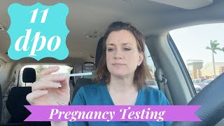 11 DPO Pregnancy Tests [upl. by Augustine]