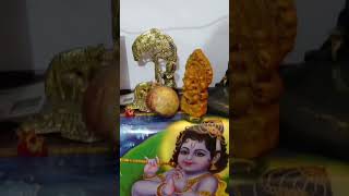 bhagwan songshortsyoutubeshortsviralshortsgodbhagwanprabhuramshivhanumandurgaganeshshiva [upl. by Elvera466]