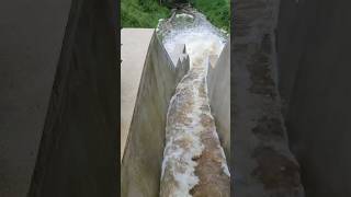 Hochwasser  Wasserburg am Inn  Bayern [upl. by Siulesoj554]