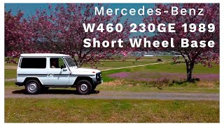 【 Mercedes Benz W460 230GE 1989】Short Wheel Base [upl. by Asa796]