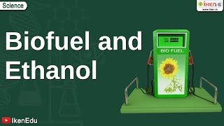 Biofuel and Ethanol  Class 10 Environmental Science  iKen [upl. by Chard445]