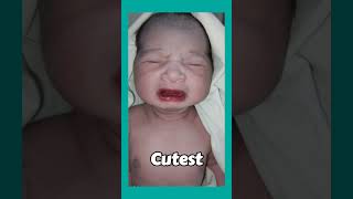 Chubby But Cutest🫠🥰 shorts baby newborn trending youtube ytshorts viral babies [upl. by Reni737]