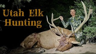 Utah Elk Hunting 2024  15 Year Old Bull  DIY Public Land [upl. by Bergman480]