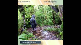 Mt Taranaki  Egmont National Park  Harem Scarem  Rain shorts [upl. by Iphigenia]