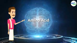 Amino Acid and its work [upl. by Isidor]