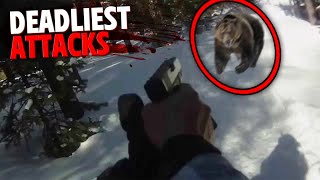 Deadliest Bear Attacks of 2023 MARATHON [upl. by Everick591]