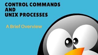 Control Commands and Unix Processes  A brief Overview Tutorial 2 Part C [upl. by Kciremed]