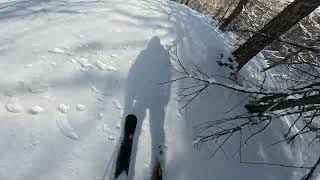 Serre chevalier freeride Fôret Le Mônetier les Bains [upl. by Surad589]