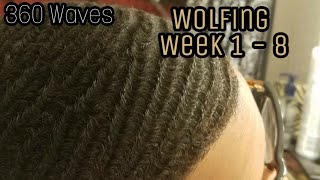 HOW TO GET 360 WAVES  Wolfing Week 1  8 4K [upl. by Yrak]