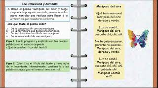 6° Conceptos básicos del género lírico [upl. by Ecnerual906]