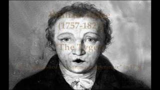 William Blake quotThe Tyger quot Poem animation [upl. by Airtap668]