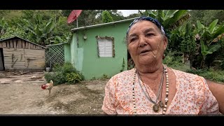 Cocinando ARROZ con POLLO guineo y yuca en otro CAMPO hermoso de Jarabacoa [upl. by Nazay]